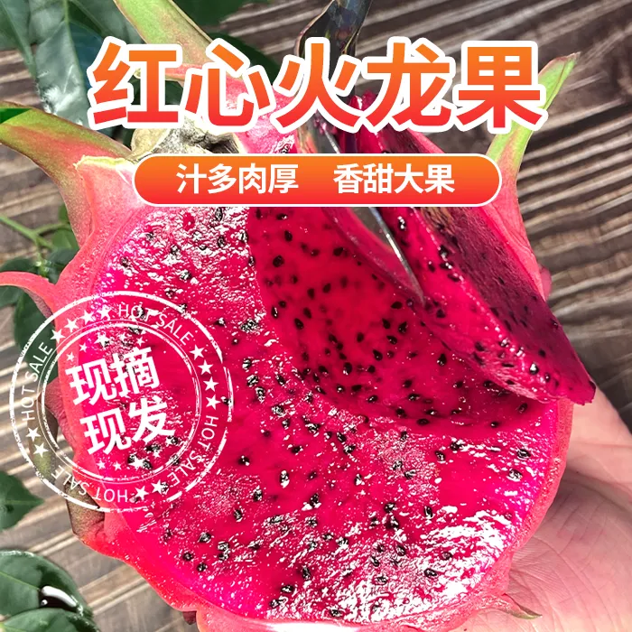 新鲜红心火龙果金都一号花青素精选皮薄水果5斤品质发货香甜鲜甜