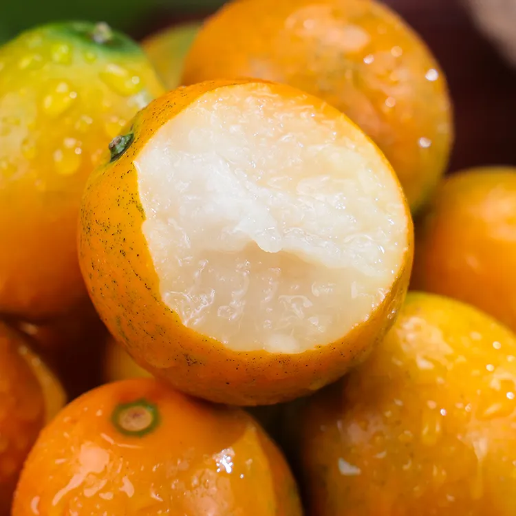 【展卉】广西融安脆蜜金桔1/2斤装单果19-44g 糖果袋包装