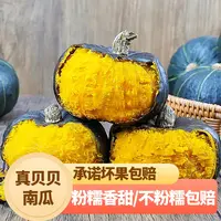 【展卉】贝贝南瓜板栗味小南瓜栗面粉糯4.5-5斤装