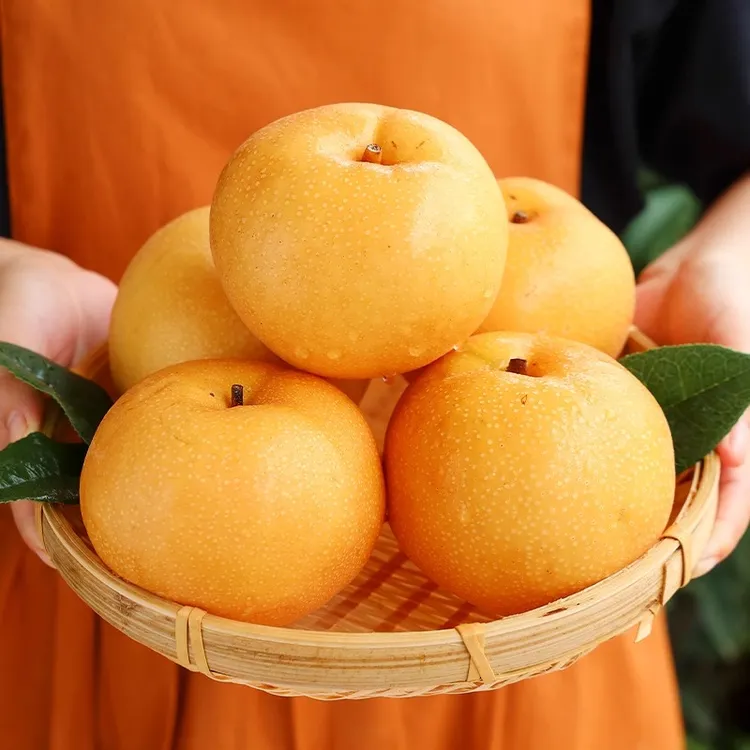 【展卉】山东莱西秋月梨4.5-7斤装单果250-300g+（核心产区）京东顺丰