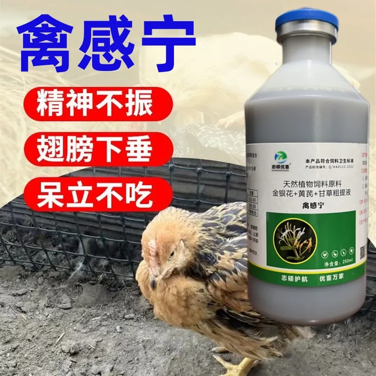 禽感宁鸡鸭鹅鸽呼噜呆立鸡瘟拉稀缩头不精神全治养鸡专用添加剂