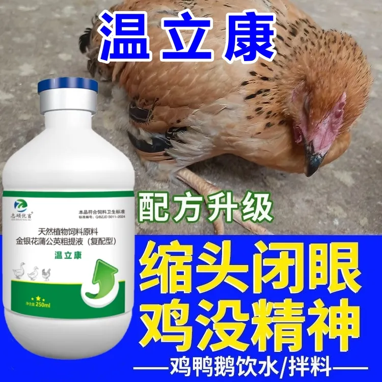 温立康鸡鸭鹅鸽子鹌鹑芦丁鸡闭眼炸毛翅膀下垂饮水拌料正品添加剂