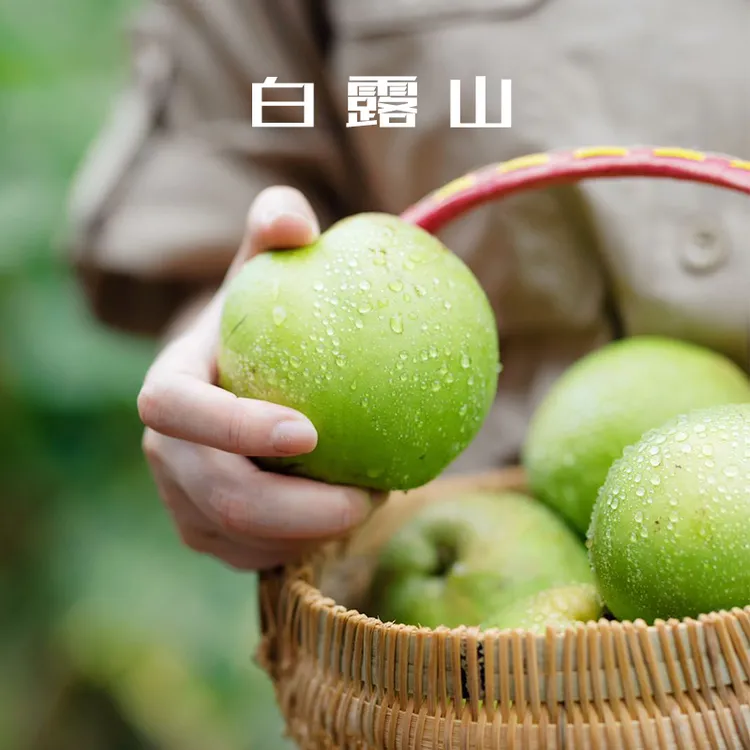 （现摘现发）青皮蜜梨苏翠1号脆甜无渣清甜爽口