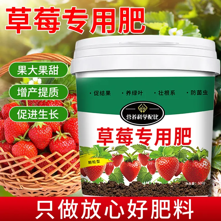 【草莓专用肥】果大果甜增产延长坐果期家用盆栽颗粒缓释营养肥