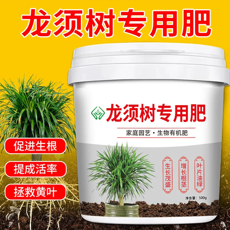 龙须树专用肥龙血树肥料营养型盆景颗粒缓释肥料发财树幸福树绿叶