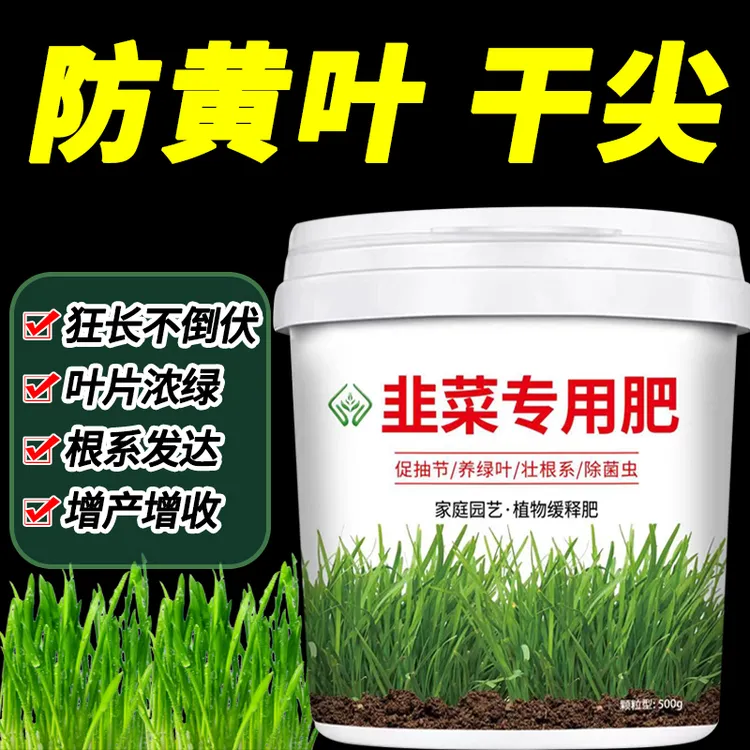 韭菜专用肥料抗病增产颗粒缓释复合肥盆栽种子小菜园韭菜苗专用肥