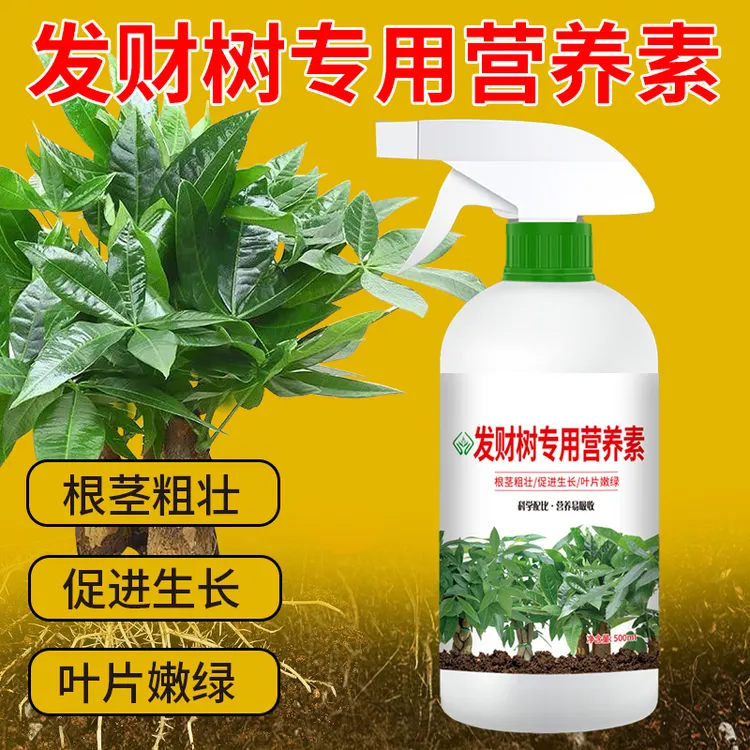 【直接喷免稀释】发财树专用营养素氮磷钾微生物叶面肥营养液水溶肥