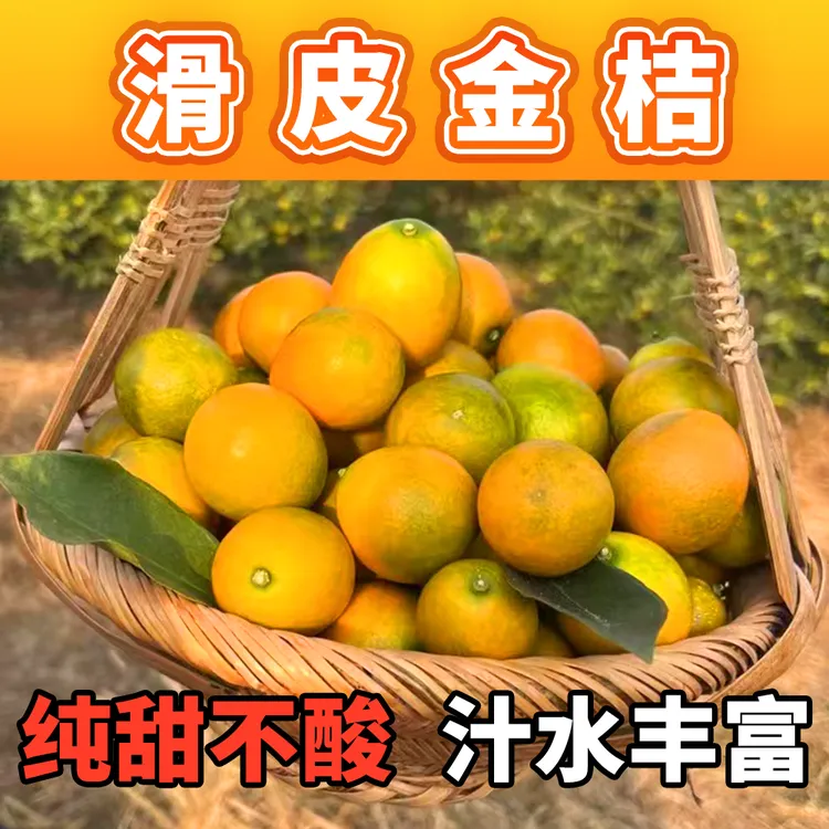 滑皮金桔【融安直发】香甜新品种脆皮金桔融安金桔皮薄多汁中果大果