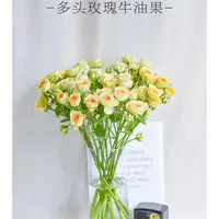 顺顺 牛油果玫瑰9支+1支防损 拍2单包邮已发货不支持退款