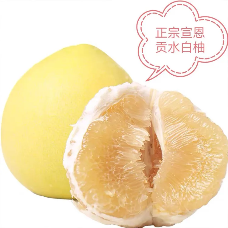 湖北恩施宣恩贡水白柚皮厚肉嫩清甜爽口当季新鲜水果