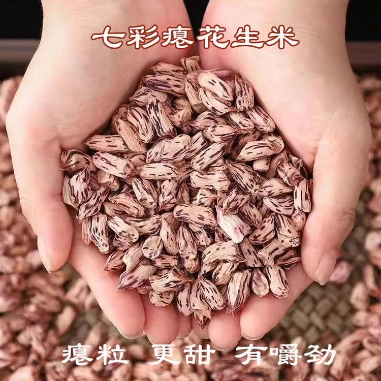 云南七彩生瘪花生米瘪粒花生米干瘪彩色甘甜生花生零食2025年新货