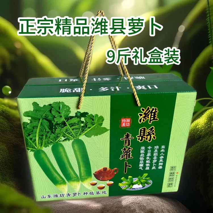 正宗潍县青萝卜9斤精选礼盒新鲜现拔脆甜多汁生吃水果萝卜农产品