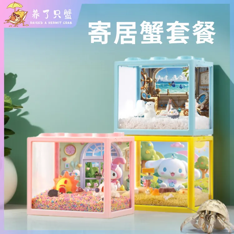 小豆丁寄居蟹套餐～寄居蟹活体饲养套装儿童礼物桌面萌宠饲养盒