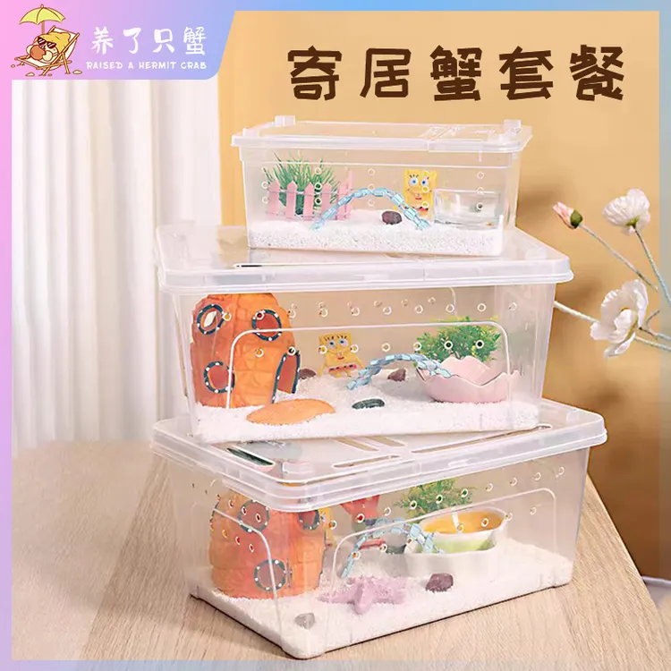 寄居蟹饲养箱套装宠物寄居蟹饲养盒小螃蟹缸儿童节礼物套餐造景