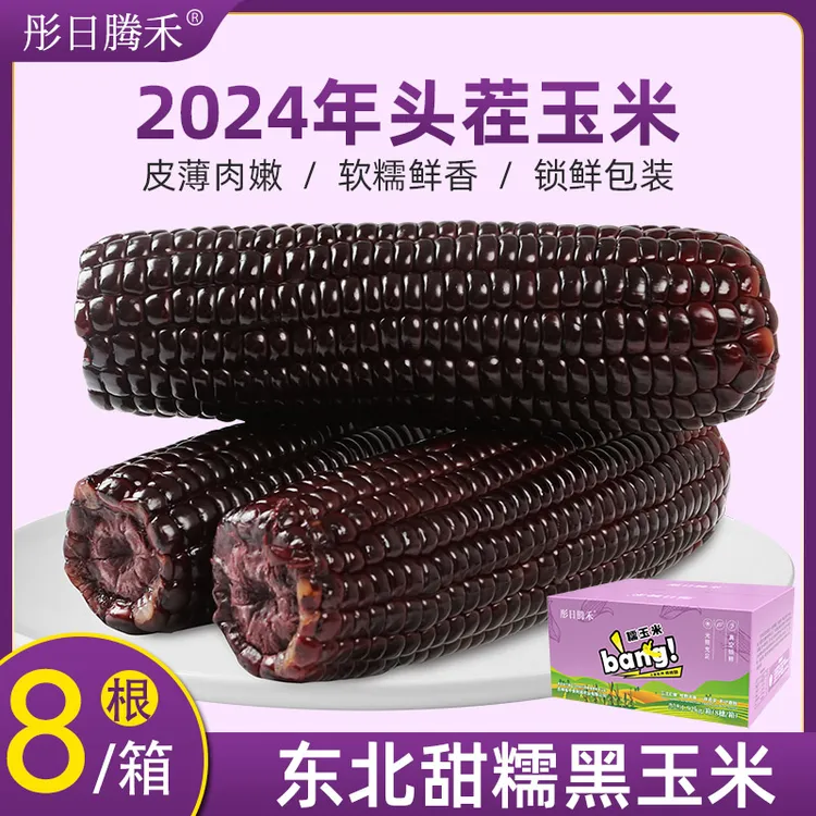 24年头茬北纬45°寒地鲜食黑糯玉米240g/穗*8 真空锁鲜  香甜饱满
