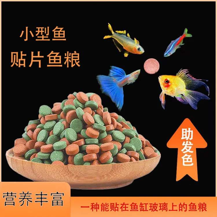 贴片鱼食红虫饲料斑马鱼饲料孔雀鱼饲料小型鱼饲料大小健康