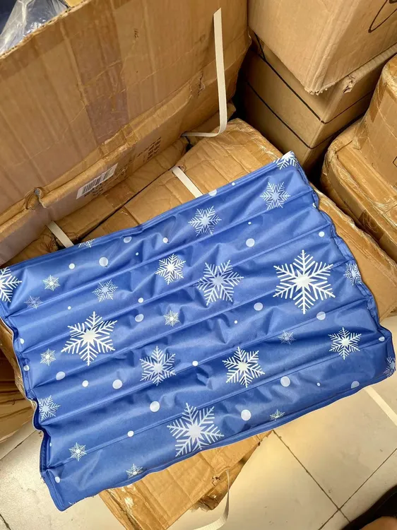 水感坐垫免注水1个（随机发）（无保价）