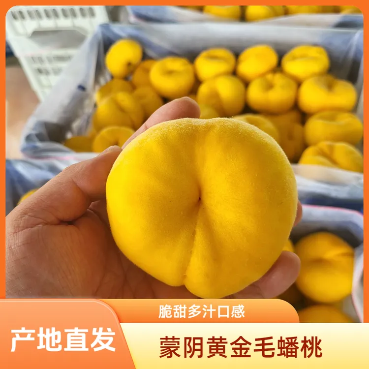 【山东蒙阴】原产地黄金毛蟠桃脆甜多汁现摘现发整箱4.5斤包邮到家