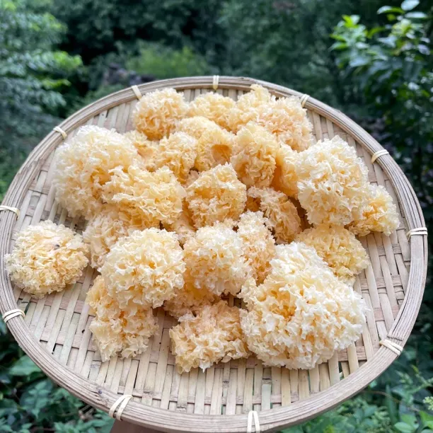 农村山货 小银耳