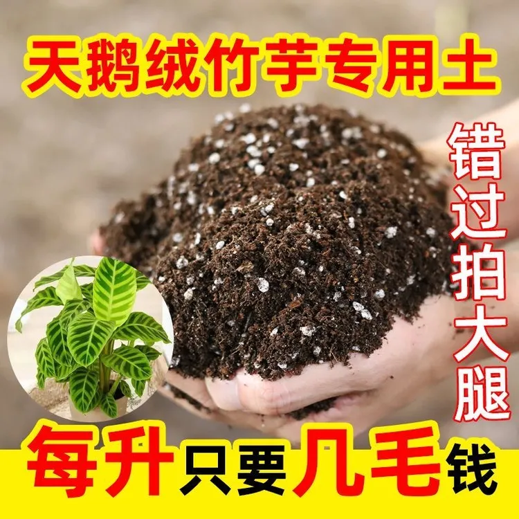 天鹅绒竹芋专用进口泥炭营养土疏松透气养花种菜多肉绿植养花泥土