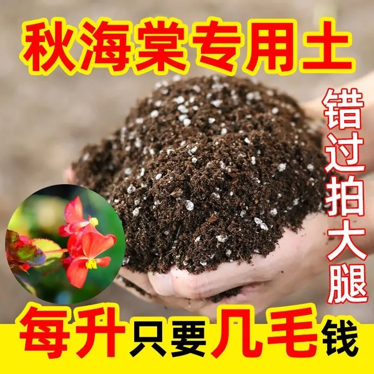 秋海棠专用进口泥炭营养土疏松透气养花种菜泥土多肉土绿植养花土