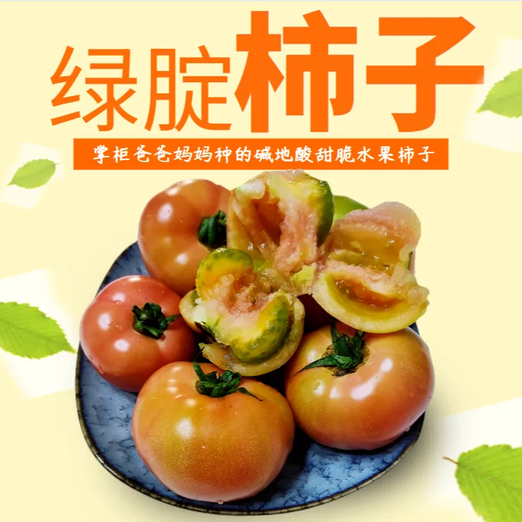 丹东草莓柿子铁皮柿子碱地绿腚番茄老品种掌柜自家种植不催熟5斤
