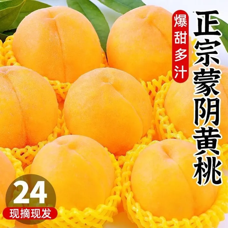 山东蒙阴纯甜黄桃正宗当季应季新鲜水果孕妇黄金蜜毛桃子锦绣整箱
