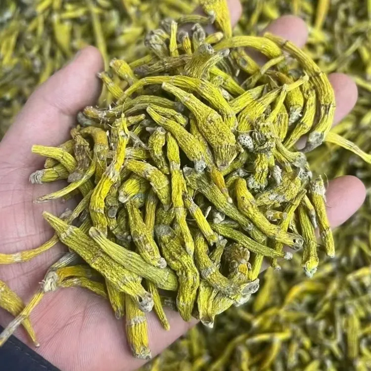精选山货虎牙石斛 500克