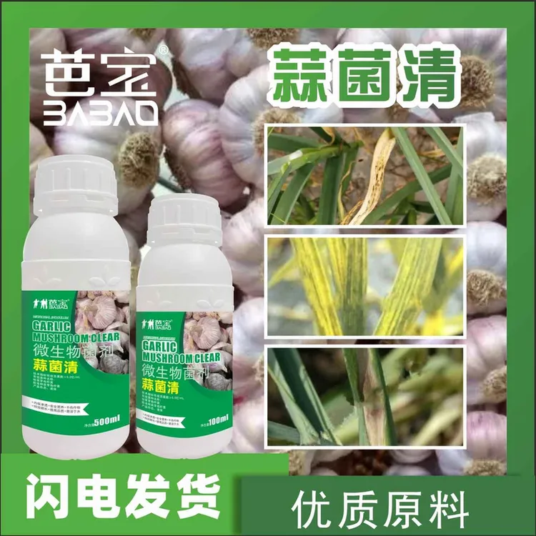 芭宝大蒜专用药大蒜黄叶病药黄叶干尖叶枯紫斑白粉锈病增产生长