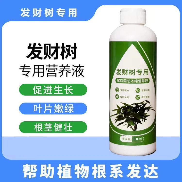 发财树营养液专用肥黄叶烂根急救水培绿植物家用盆栽通用养花肥料