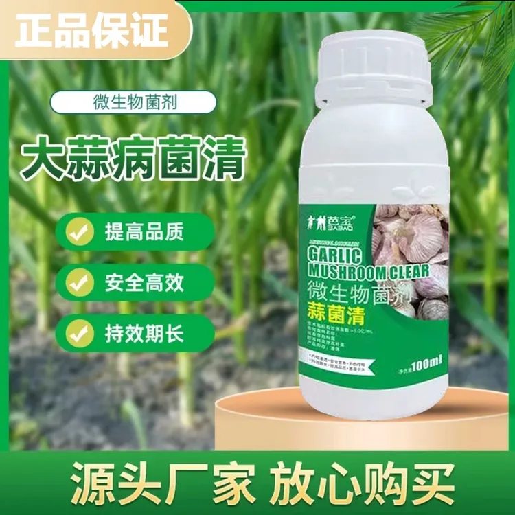 正品大蒜病菌抗性防治干尖黄叶枯叶白腐锈病等提质增产蒜菌清