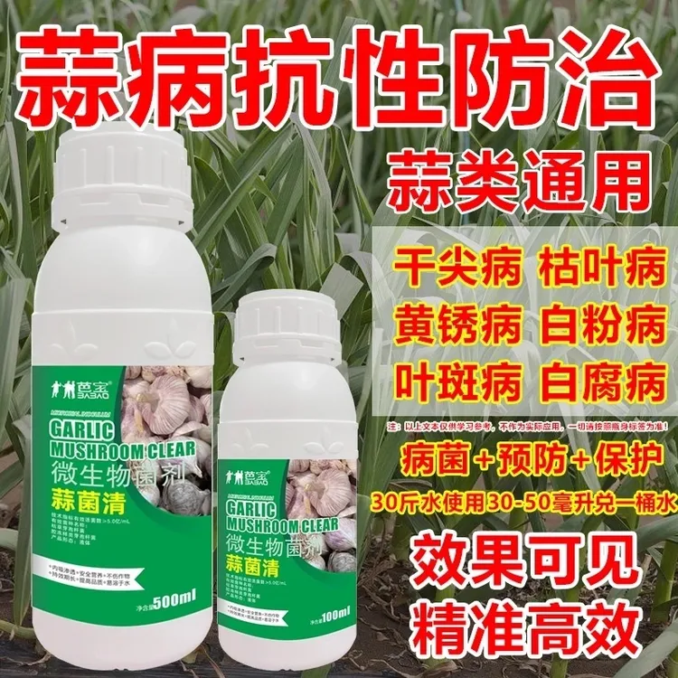 正品大蒜病菌抗性防治干尖黄叶枯叶白腐锈病等提质增产蒜菌清M