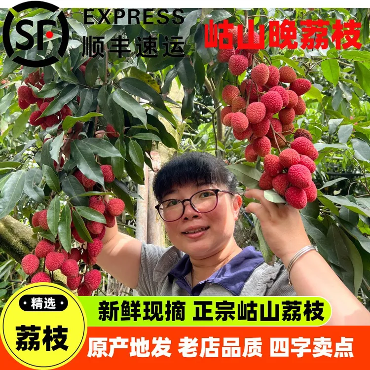 春野果香（福建省内专属）当季现摘福建正宗永春岵山荔枝晚荔状元红
