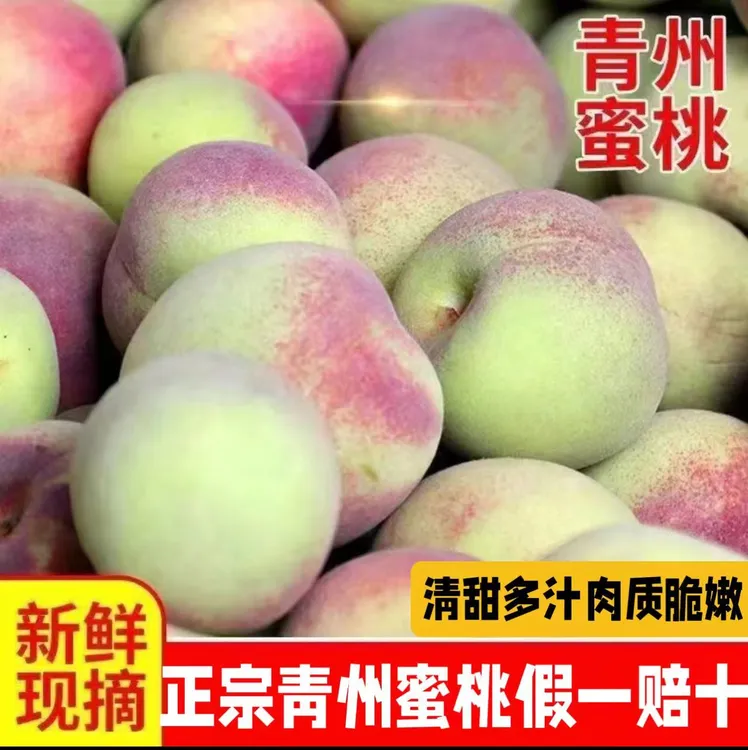 山东青州蜜桃毛桃硬桃水蜜桃寒露蜜桃土特产新鲜精品桃子脆甜