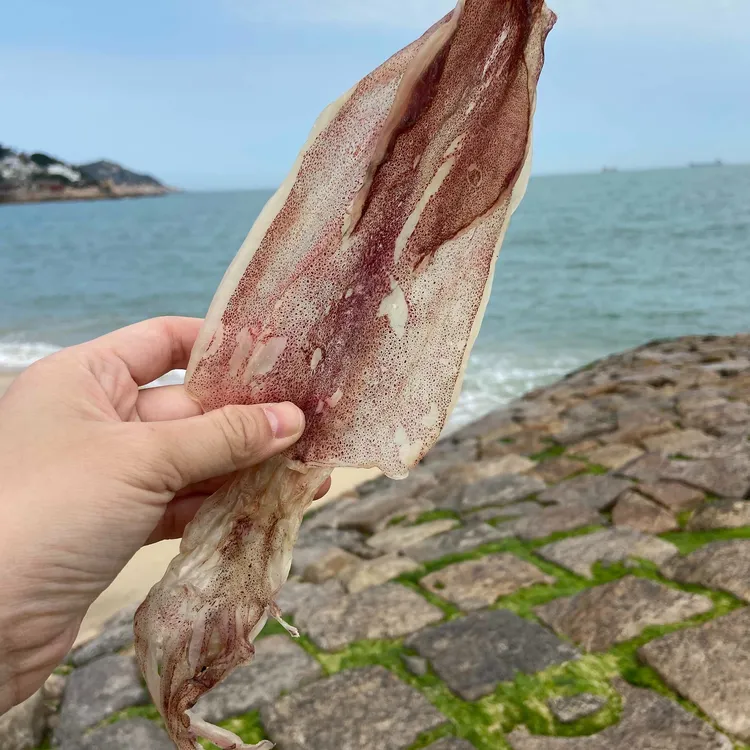 东山岛鱿鱼公250克/500克/包