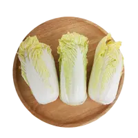缤纷田园娃娃菜 约500g