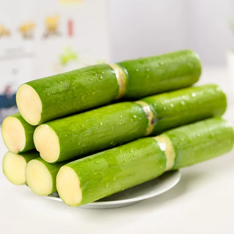 陶山青皮甘蔗水果3-5斤精品水果单节多汁温州特产礼盒装