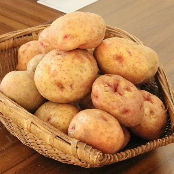 精装土豆大果云南现挖会泽老家开花洋芋农家自种美味马铃薯