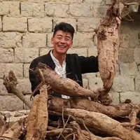 【李恒旭】野生柴葛根粒福利葛根粉