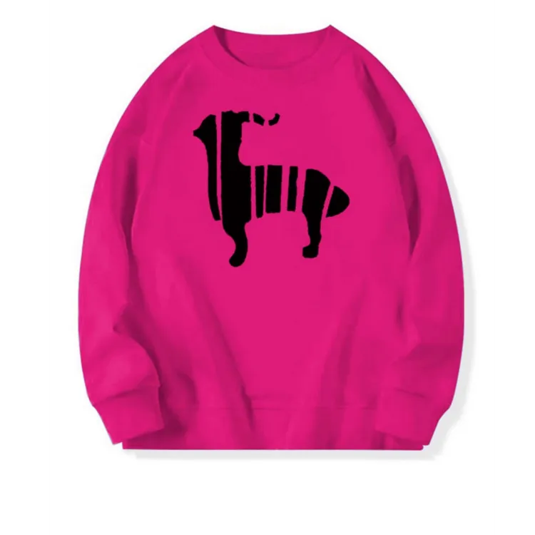 美式玫红色圆领卫衣女秋冬新款爆款设计感长袖休闲上衣外套潮