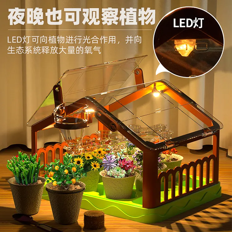 圣诞节礼物灯光种植阳光房5-10岁女孩子男孩生日小学生种植观察