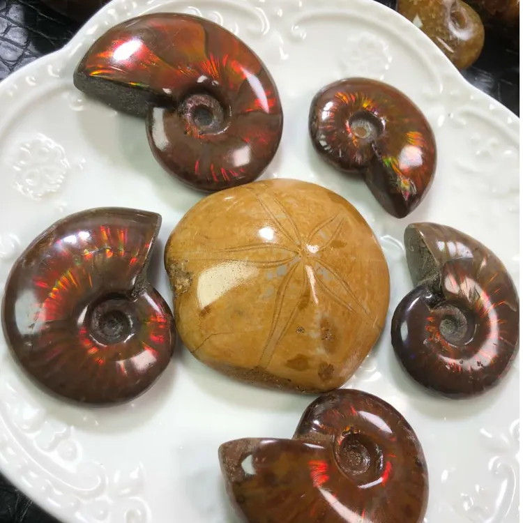 海螺奇石各种摆件，手把件，吊坠，批发零售