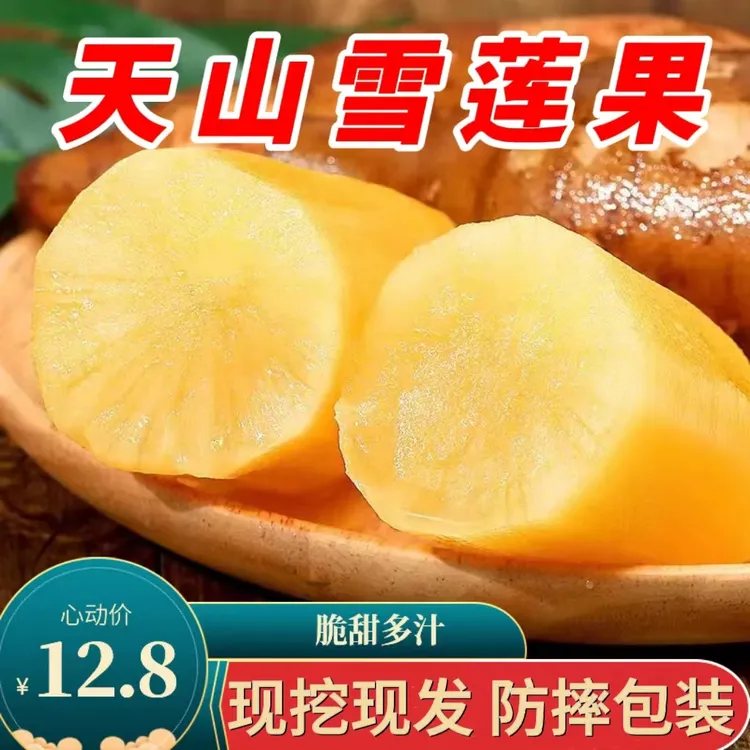 云南天山雪莲果黄心3-9斤新鲜美味清甜脆爽产地直供现挖整箱发货