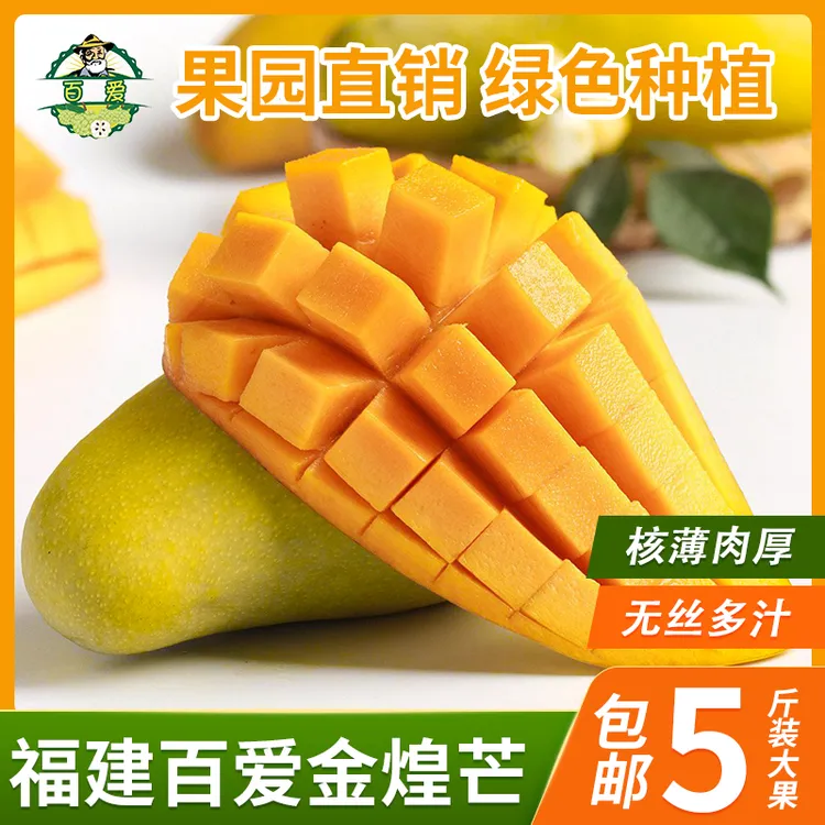 芒果 金煌芒 香芒 福建原产百爱果园种植 5斤花皮果（介意不拍）