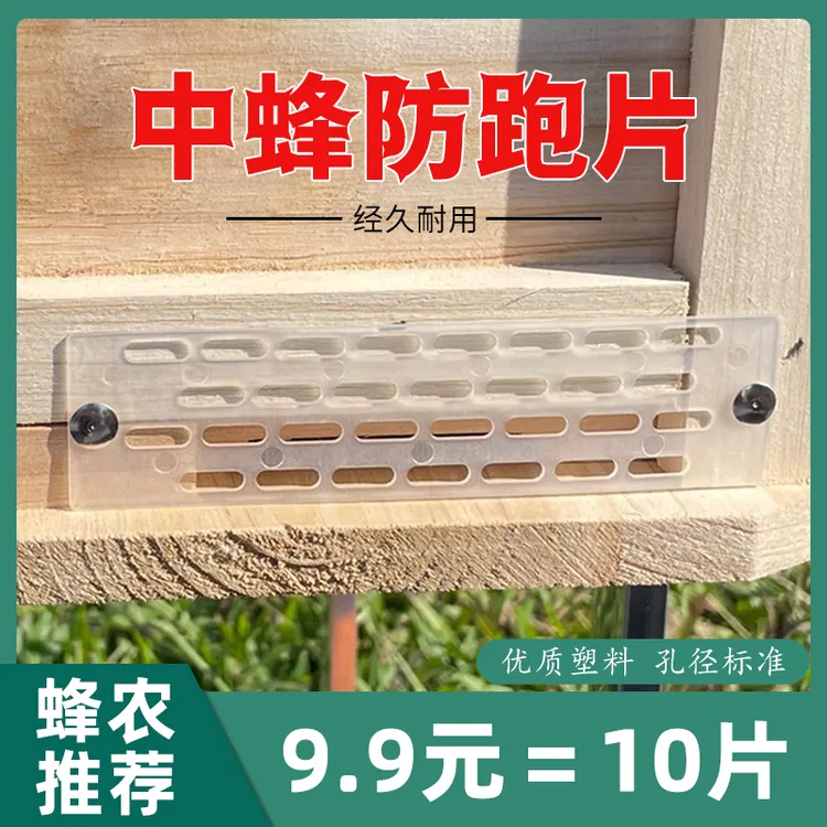 惠蜂乐中蜂防跑片隔王门蜜蜂防逃片蜜蜂用具防蜂王飞逃分蜂防盗蜂