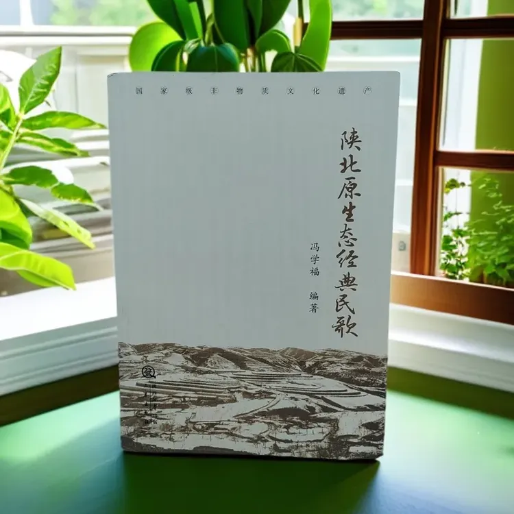 陕北原生态经典民歌能听能看会唱歌的书