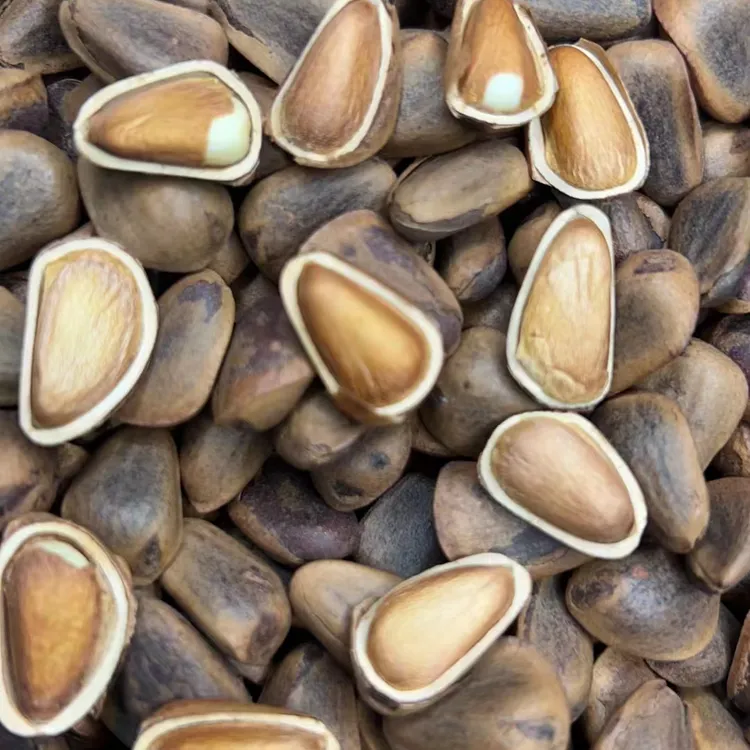 东北笨炒松子500克1000克包邮