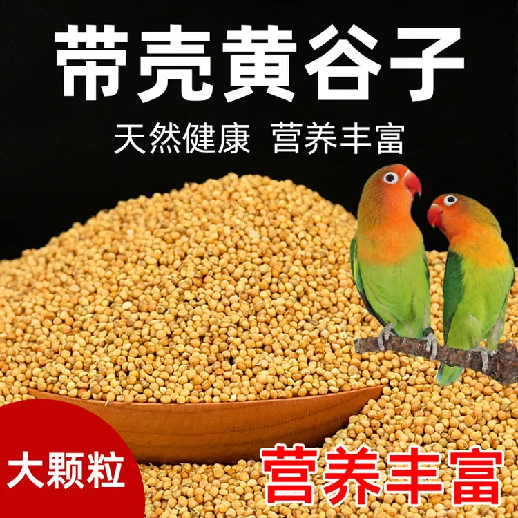 鸟粮新黄谷子带壳小米鸟食粮食中小型鹦鹉饲料玄风谷子牡丹黄谷子