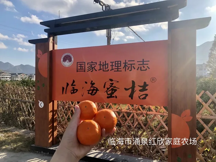 涌泉蜜桔无核蜜桔水果蜜橘产地直发果3/5.5/10斤装橘子正宗桔子