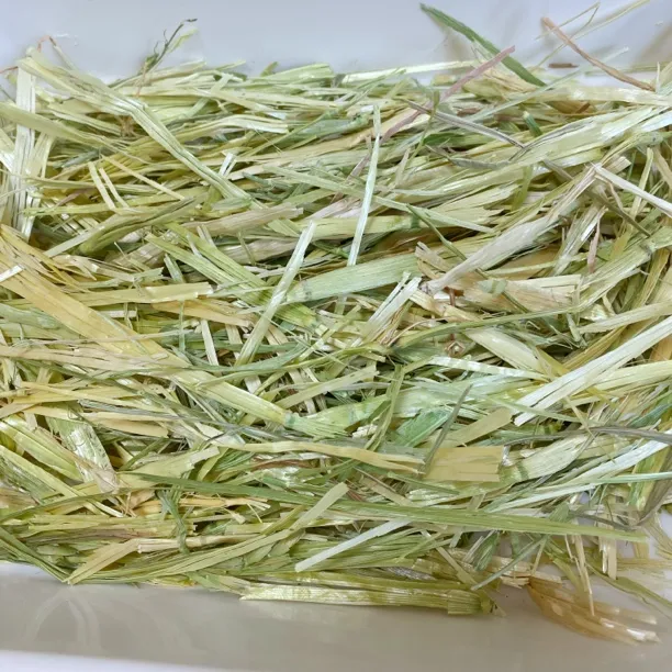 24年澳麦 手挑澳麦 普筛澳麦 铝箔袋阴阳袋包装1斤装